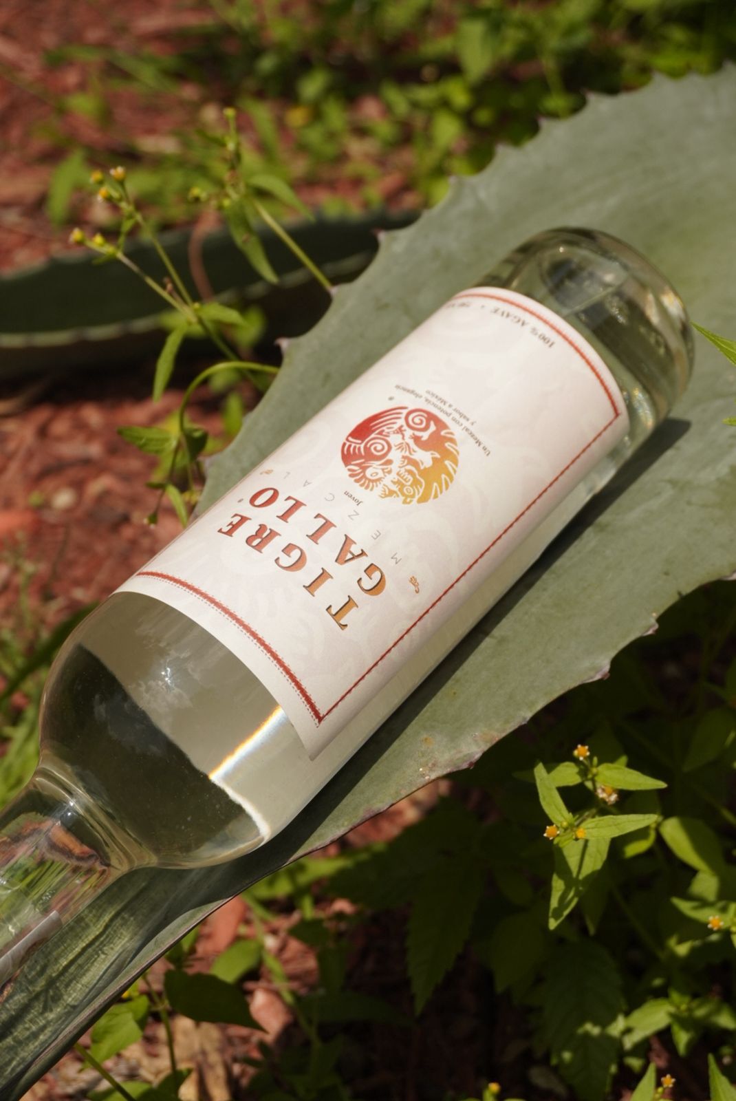 WhatsApp Image 2025-08-22 at 12.14.48 PM (1)