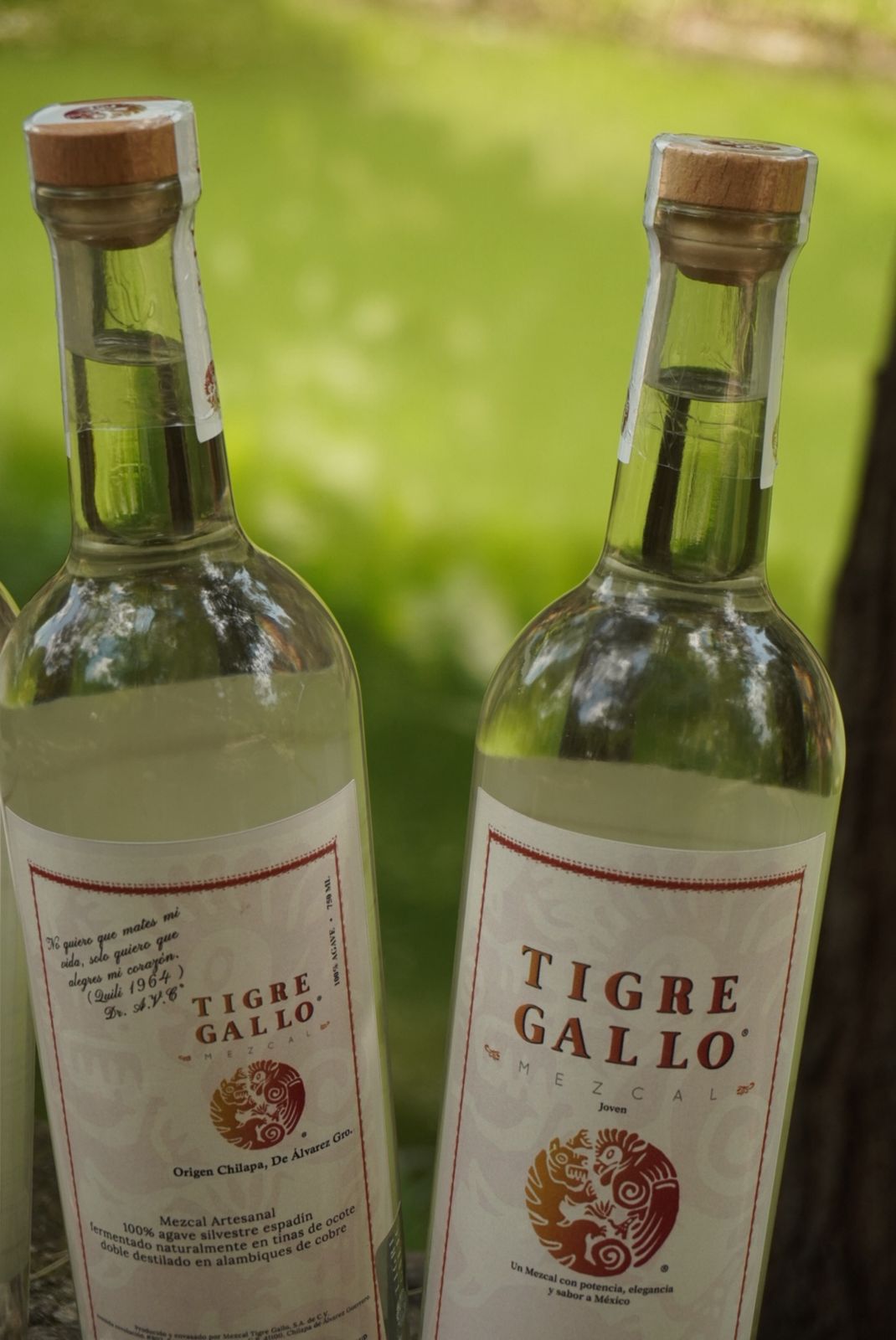 WhatsApp Image 2025-08-22 at 12.14.51 PM (1)