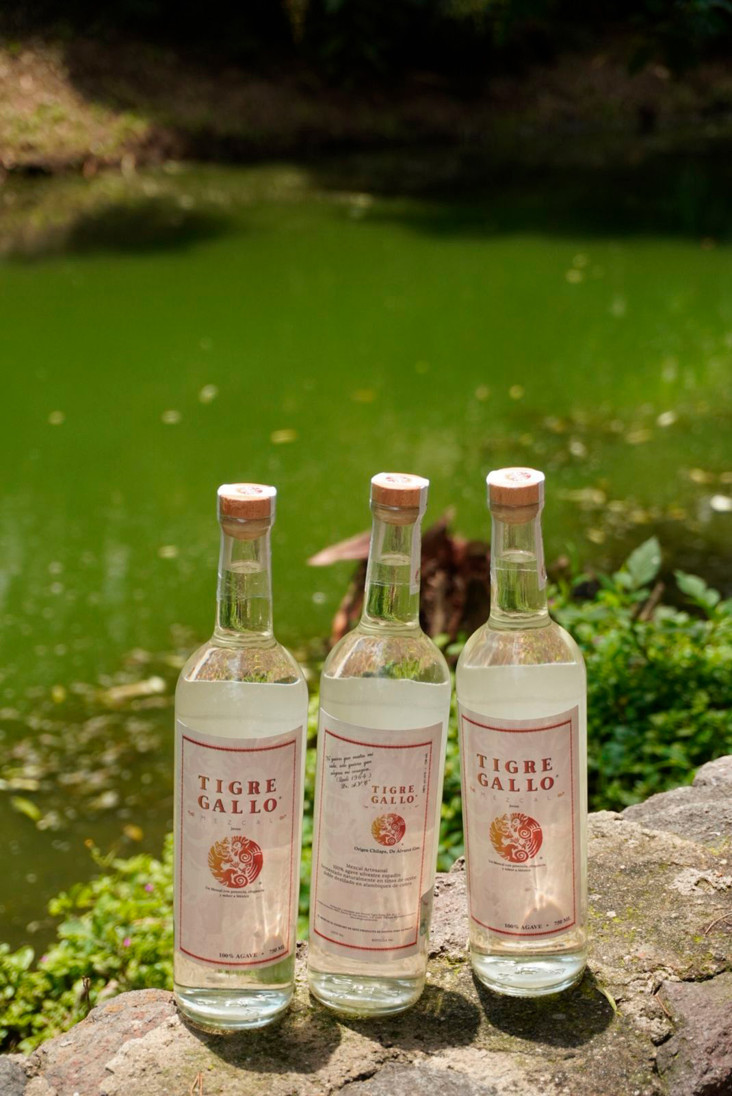 WhatsApp Image 2025-08-22 at 12.14.51 PM vert